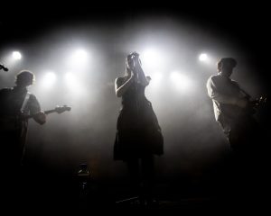 Festival Logo Acopia