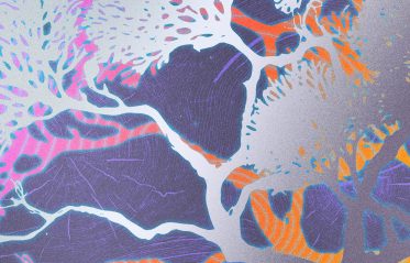 Image for Het Nest 10 jaar